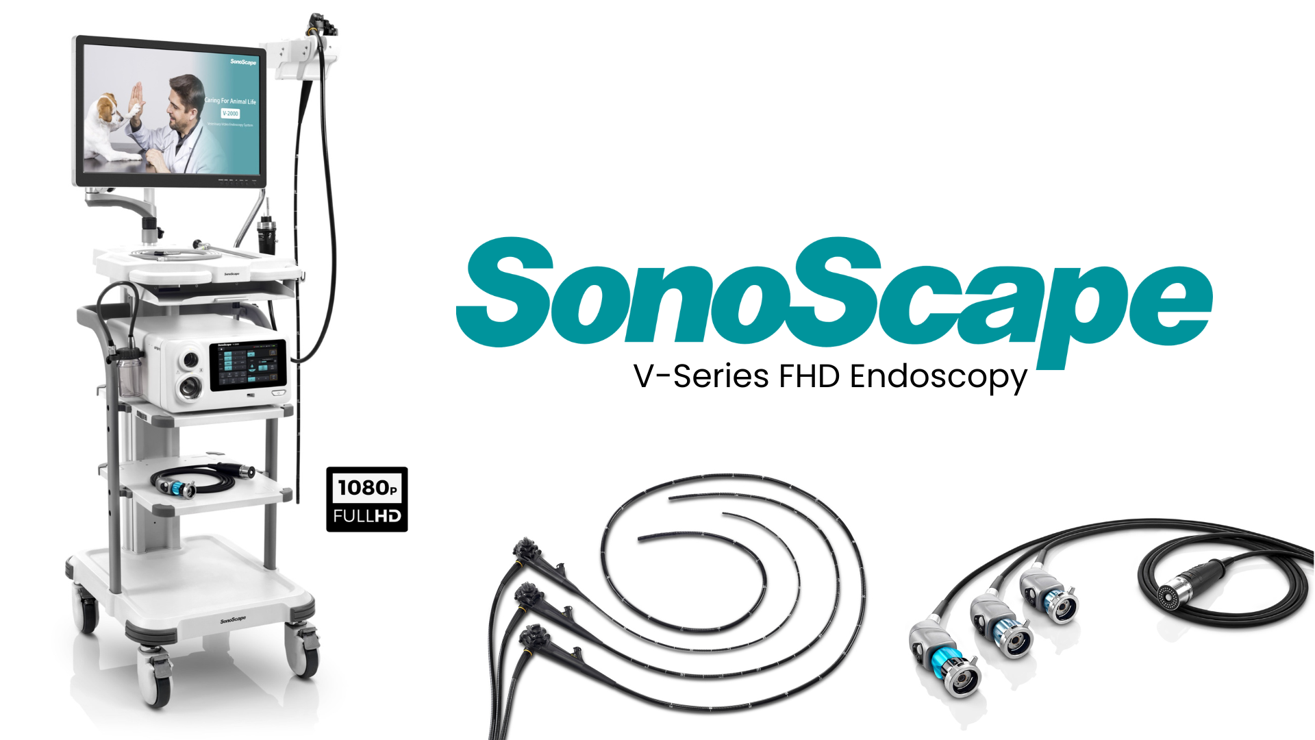 racetrack endoscope, horse race endoscope, horse airway endoscope, equine bronchoscope, equine racetrack endoscopy, equine bronchoscopy, equine guttural pouch endoscopy, horse racing endoscopy equipment, racetrack endoscopy equipment, equine airway endoscope,endoscopy equipment,veterinary endoscopy instruments,biopsy forceps endoscopy,veterinary endoscopy machine,veterinary endoscopy equipment suppliers