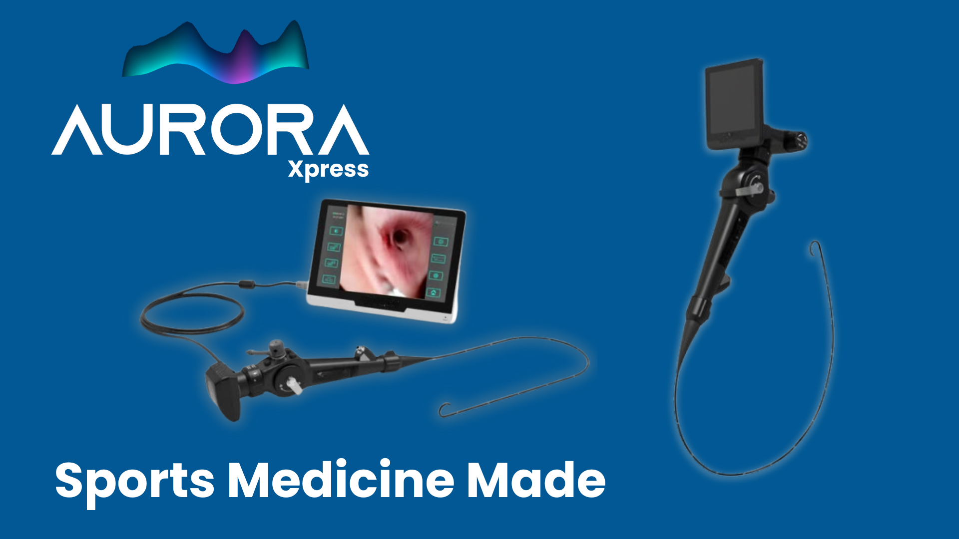 equine endoscopy; horse endoscope; equine airway endoscope; equine gastroscopy; portable equine endoscope system; horse gastroscope for vets
