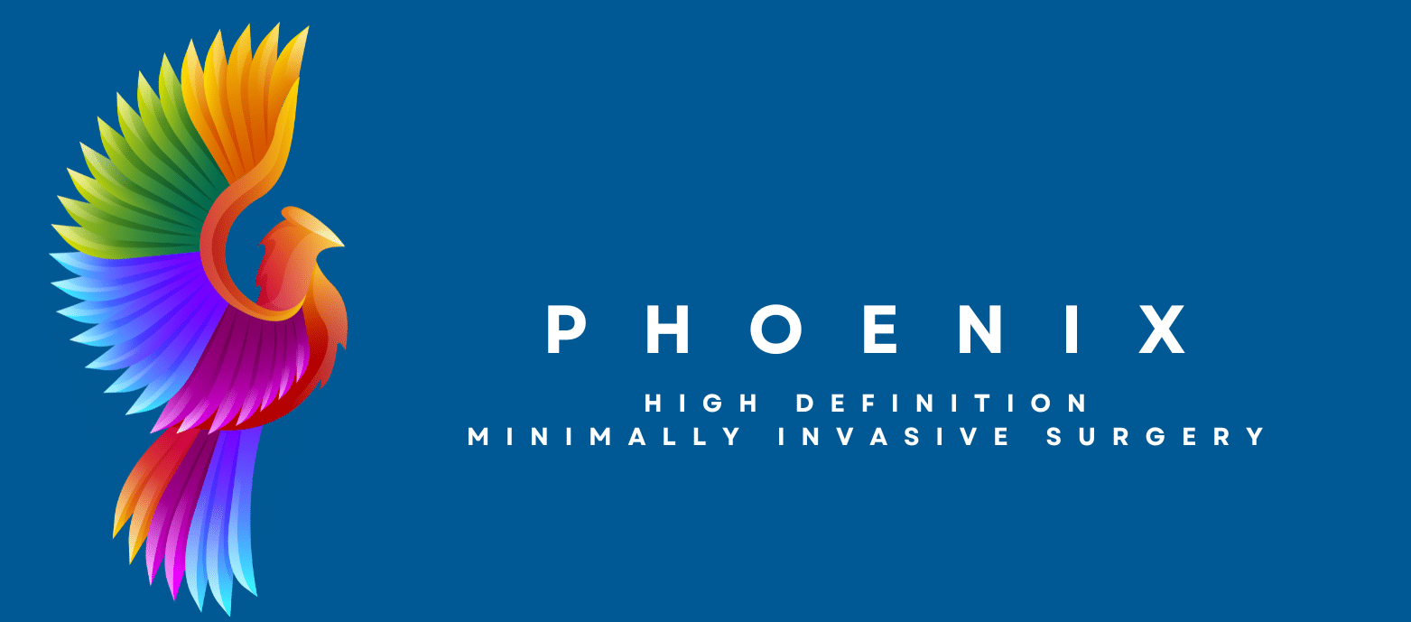 veterinary surgical endoscopes, veterinary rigid endoscopes, veterinary ENT scopes, veterinary orthopedic endoscopes, vet laparoscopy scopes, vet arthroscopy equipment, small animal surgery endoscope, equine surgery endoscope, veterinary sinoscopy scope, rigid scope veterinary medicine, HD surgical endoscope vet, 1080p rigid endoscope veterinary, stainless steel endoscopes vet, veterinary MIS equipment, surgical endoscopy for veterinarians, vet surgical tower, C-mount endoscopy camera vet, ENT endoscopy veterinary, orthopedic endoscopy veterinary, rigid endoscope sets vet med, endoscopic surgical tools veterinary, vet arthroscopy tower, vet laparoscopy tower