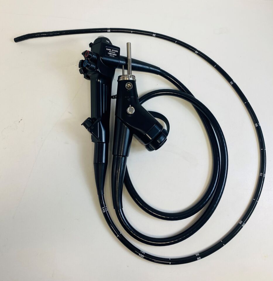 veterinary flexible endoscope