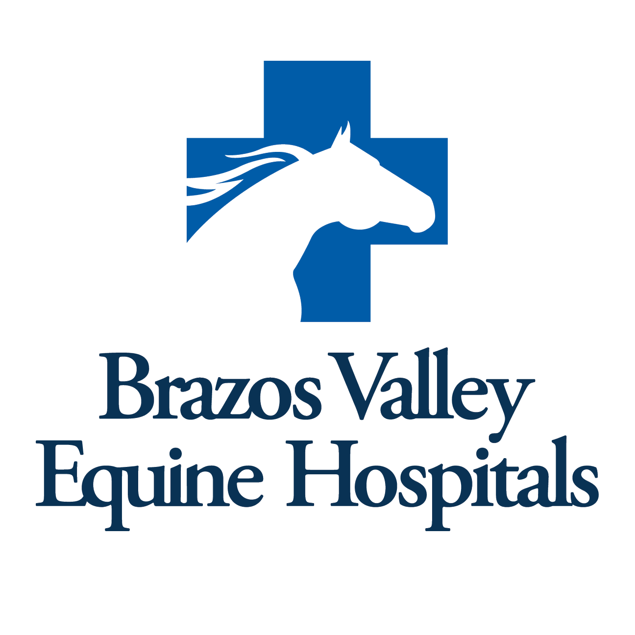 Brazos Valley Equine Hospitals logo with horse and cross.