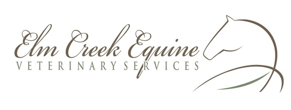 Elm Creek Equine Veterinary Services logo with horse icon