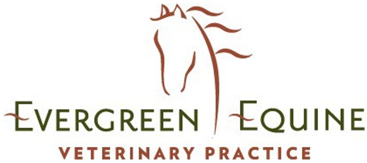 Evergreen Equine Veterinary Practice logo with horse silhouette