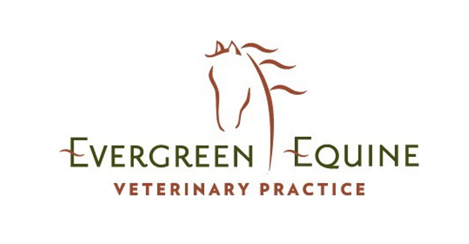 Evergreen Equine Veterinary Practice logo with horse silhouette