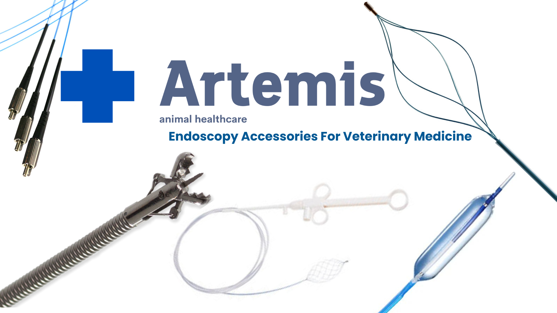 Artemis veterinary endoscopy accessories on white background