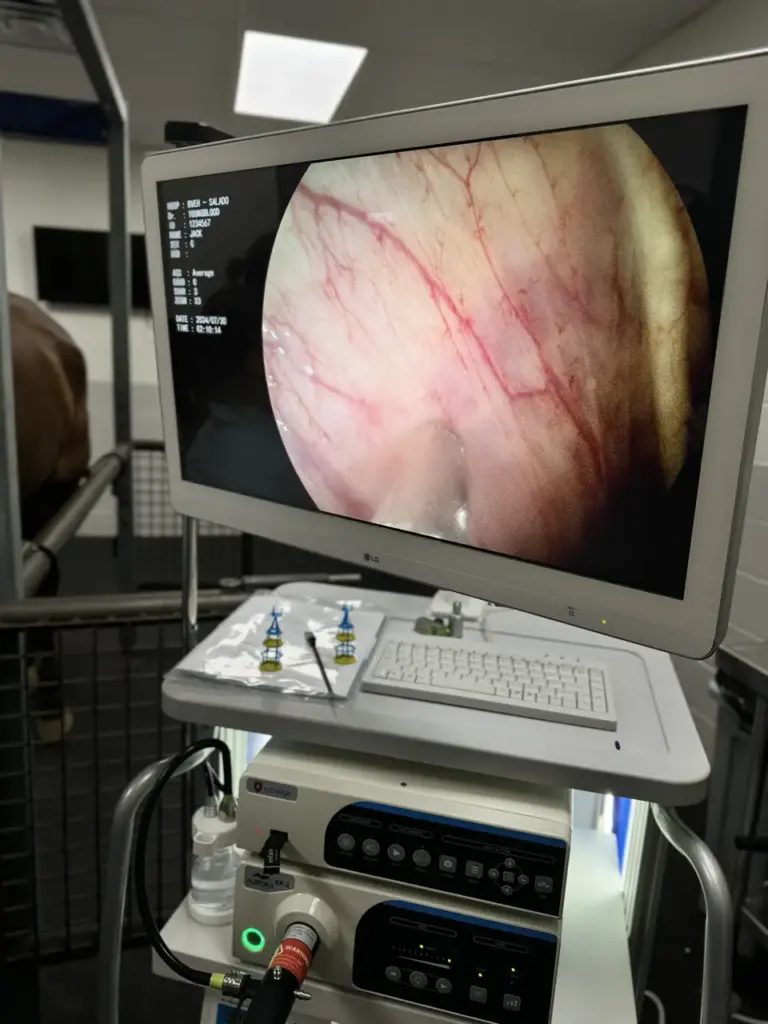 Medical monitor displaying internal body imaging