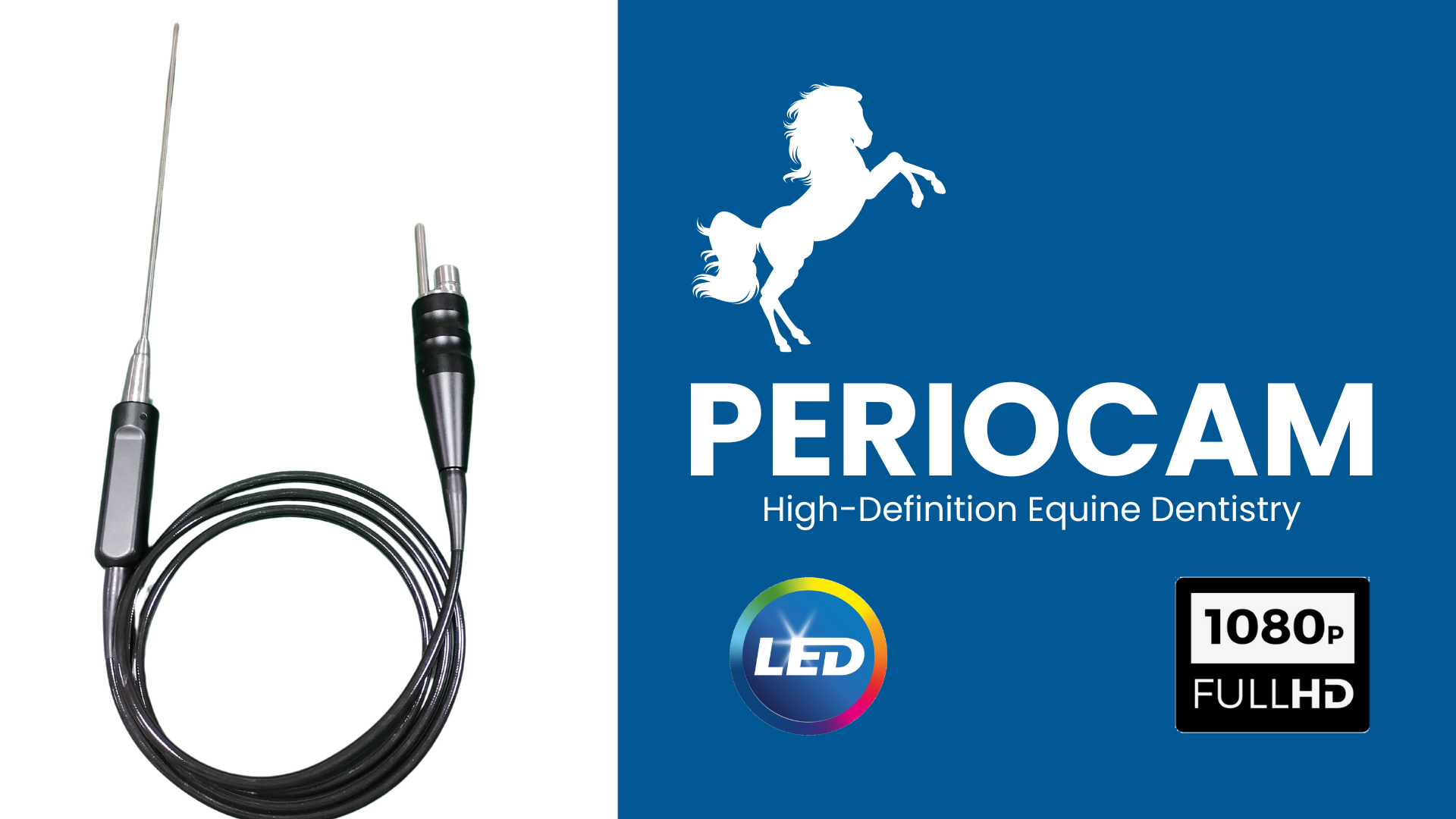 Periocam equine dental tool with LED and 1080p features