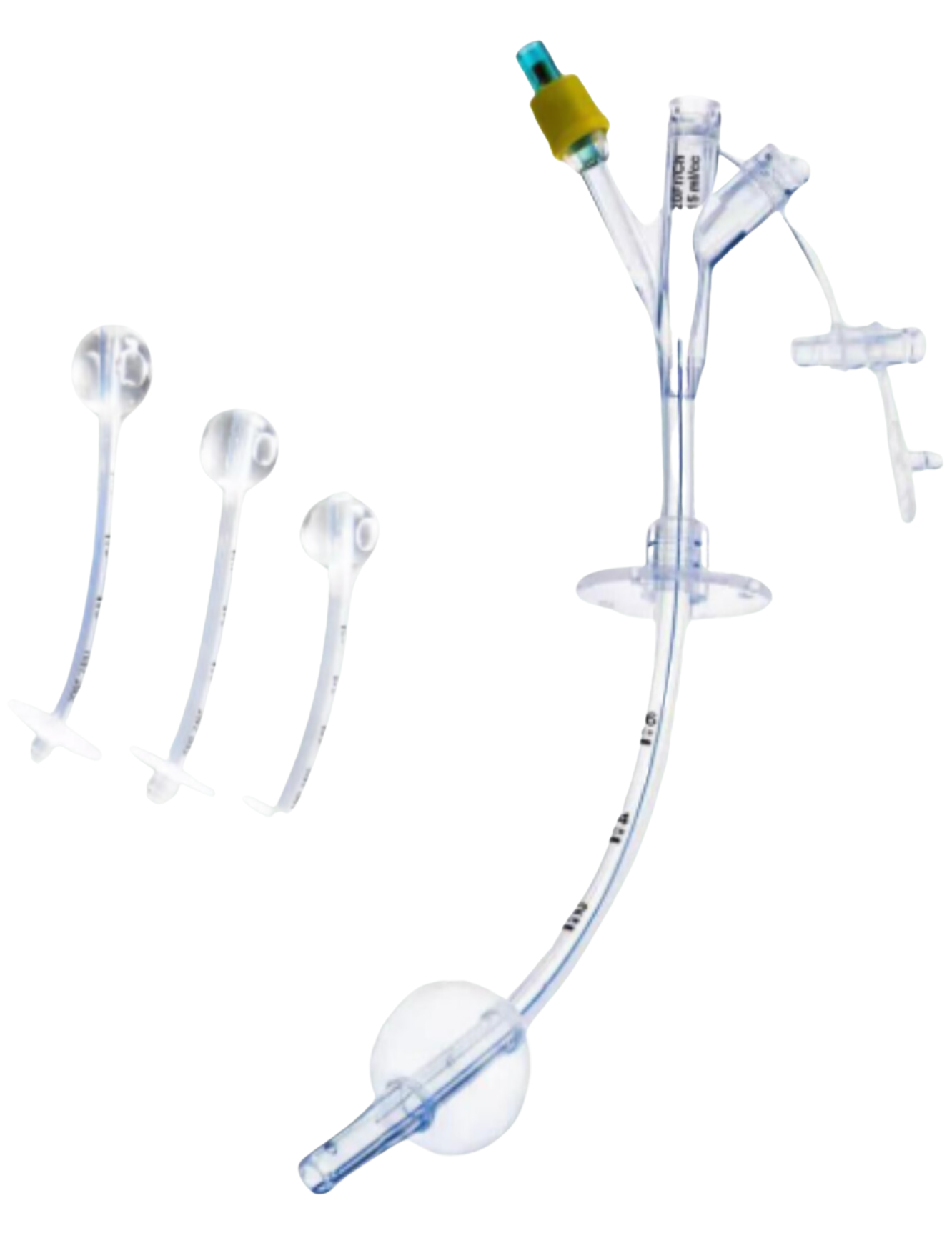 Various sizes of clear medical gastrostomy tubes