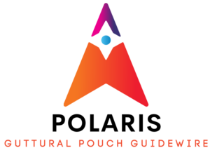 Colorful logo of Guttural Pouch Guidewire