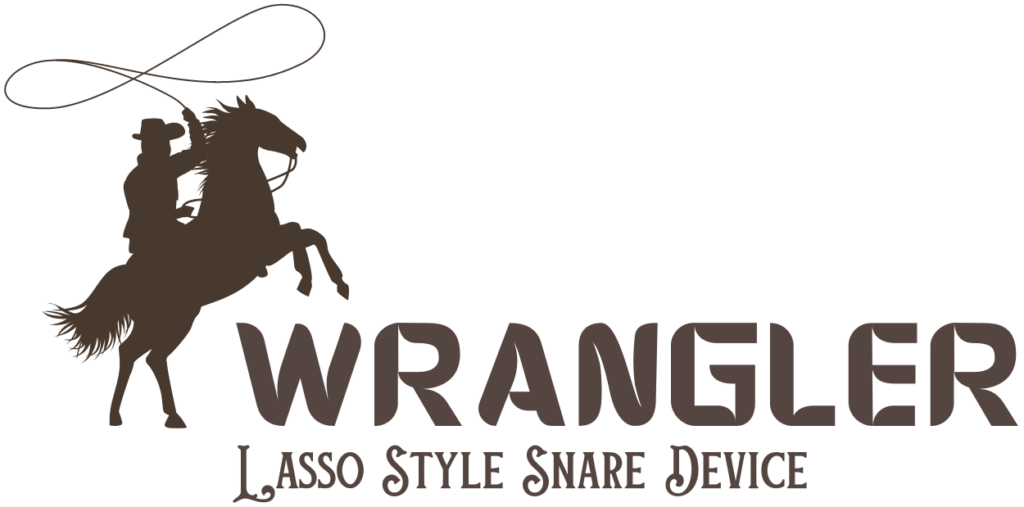 Wrangler logo with cowboy on horse swinging lasso