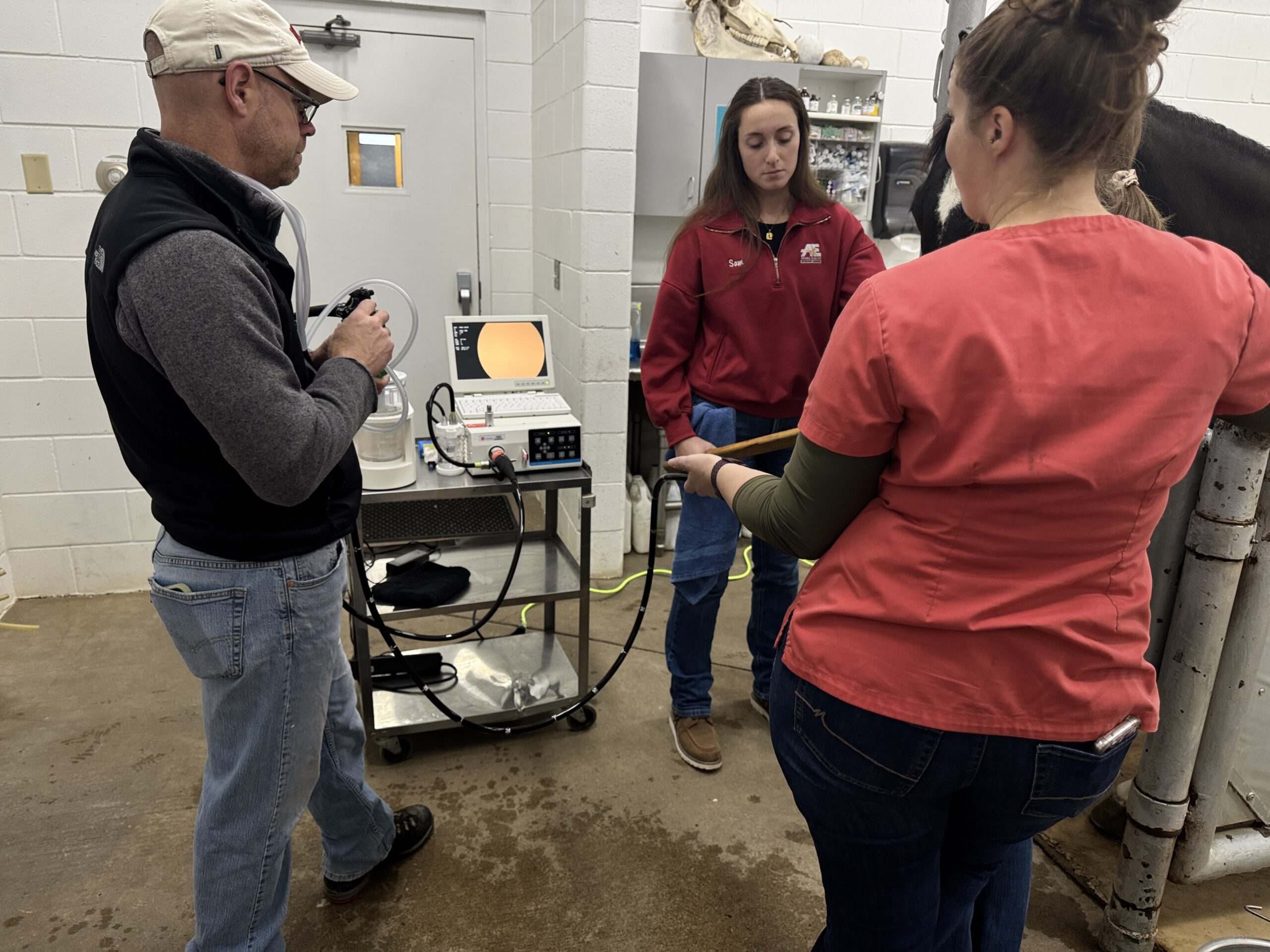 Three people examining equipment near a cow in barn