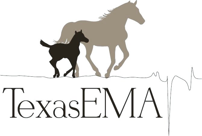 Logo with silhouettes of two horses and 'TexasEMA' text