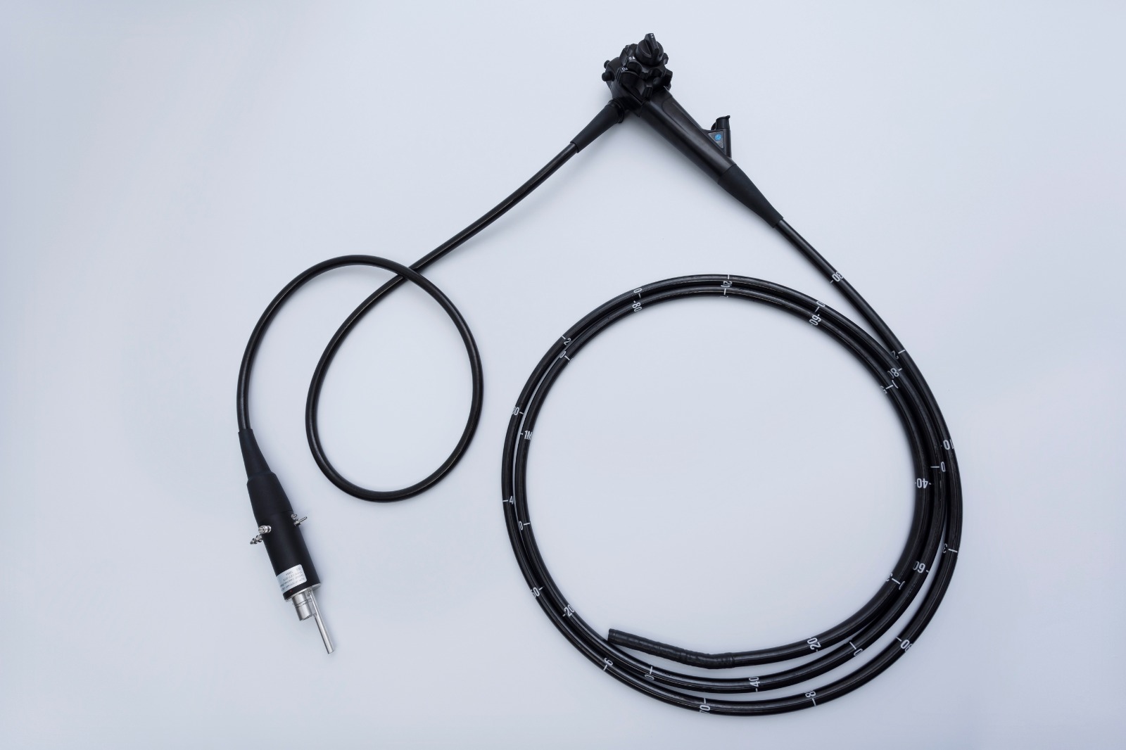 Flexible endoscope with measurement markings