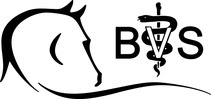 BVS logo with horse and caduceus symbol