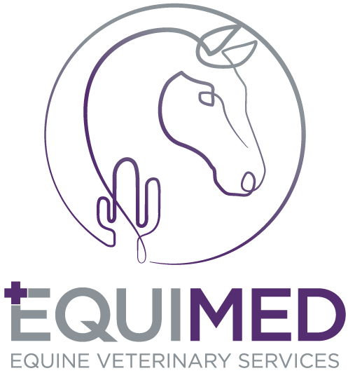 Equimed logo with stylized horse and cactus
