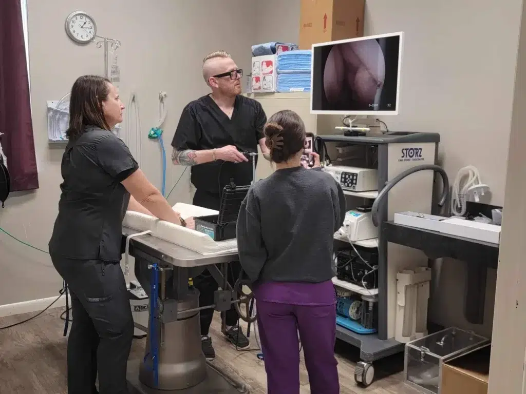 Veterinary team analyzing x-ray on monitor in clinic