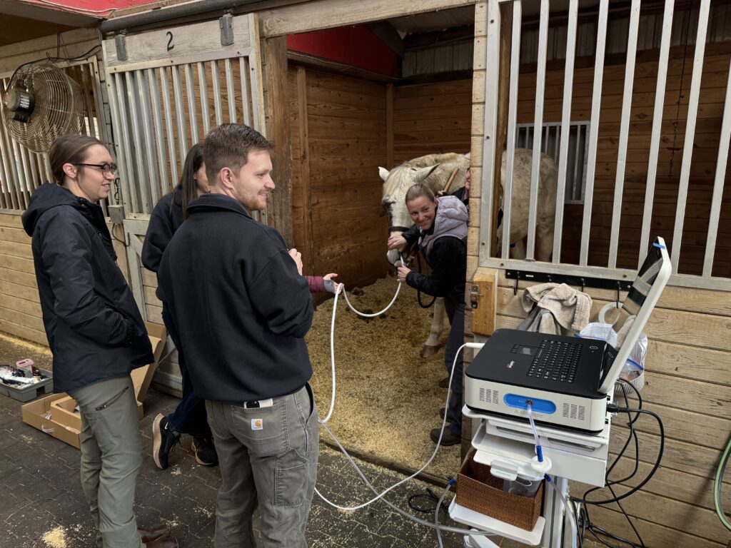 Veterinarians conducting ultrasound on a horse at stable