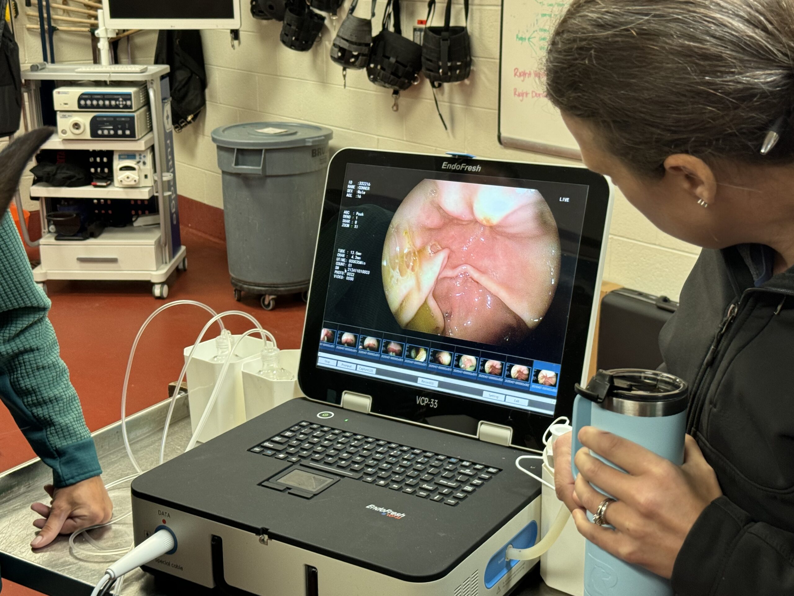 Technician viewing endoscopy image on medical monitor