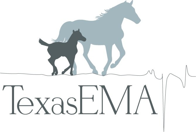 Logo of TexasEMA featuring two silhouetted horses