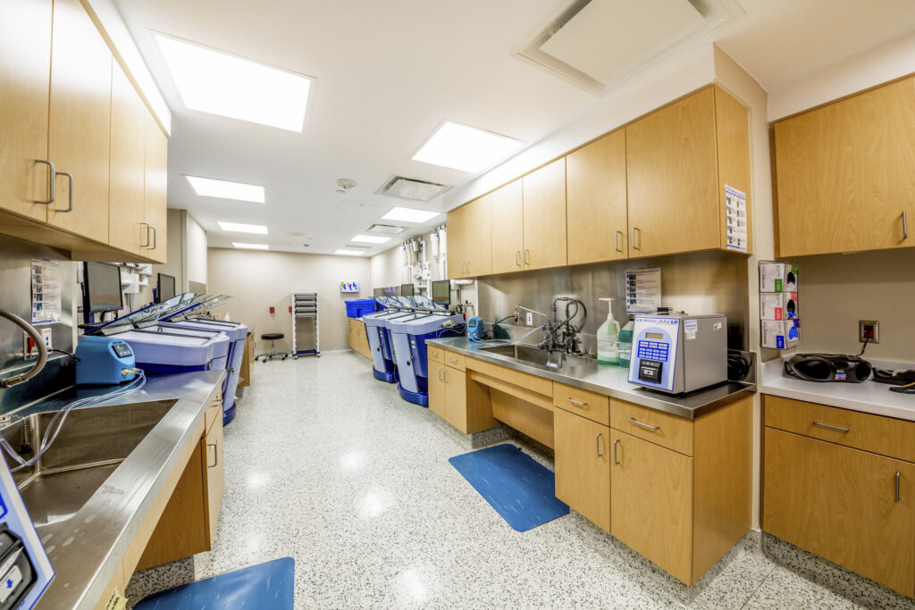 endoscopy, equine, facility, facility planning, hospital design, internal medicine, medicine, practice design, small animal, veterinary ergonomics, veterinary endoscopy