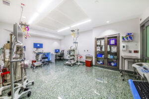 endoscopy, equine, facility, facility planning, hospital design, internal medicine, medicine, practice design, small animal, veterinary ergonomics, veterinary endoscopy