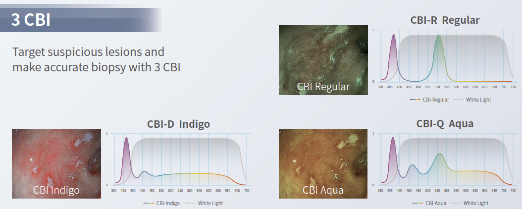 AOHUA veterinary endoscopy, AOHUA vet endoscope, AOHUA veterinary endoscope, AOHUA endoscopy system, AOHUA endoscopy tower, AOHUA 4K veterinary endoscopy, AOHUA FHD veterinary endoscopy, AOHUA video endoscope, AOHUA veterinary imaging system, AOHUA endoscopy processor, AOHUA rigid endoscope veterinary, AOHUA flexible endoscope veterinary, AOHUA veterinary endoscopy equipment, AOHUA endoscopy systems for sale, AOHUA veterinary endoscopy USA, AOHUA veterinary endoscopy North America, veterinary endoscopy system AOHUA, buy AOHUA veterinary endoscope, AOHUA endoscopy pricing, AOHUA veterinary endoscopy distributor, AOHUA veterinary endoscopy dealer, AOHUA vet endoscopy supplier, AOHUA veterinary endoscopy support, AOHUA veterinary endoscopy training, AOHUA veterinary endoscopy installation, AOHUA veterinary endoscopy accessories, AOHUA endoscope repair veterinary, AOHUA endoscope service USA, veterinary endoscopy equipment for sale, veterinary endoscopy systems USA, veterinary endoscope supplier North America, veterinary video endoscopy system, veterinary FHD endoscopy, veterinary 4K endoscopy system, veterinary surgical endoscopy AOHUA, veterinary laparoscopy system AOHUA, veterinary arthroscopy system AOHUA, equine endoscopy AOHUA, equine gastroscope AOHUA, equine airway endoscopy AOHUA, equine bladder endoscopy AOHUA, equine internal medicine endoscopy, small animal endoscopy AOHUA, small animal GI endoscopy system, small animal airway endoscopy, veterinary ENT endoscopy AOHUA, veterinary rhinoscopy system, veterinary bronchoscopy system, zoo animal endoscopy AOHUA, exotic animal endoscopy system, aquarium veterinary endoscopy, wildlife veterinary endoscopy, multi-species veterinary endoscopy, veterinary teaching hospital endoscopy system, veterinary referral hospital endoscopy, ambulatory veterinary endoscopy system, portable veterinary endoscopy AOHUA, veterinary endoscopy for emergency medicine, veterinary foreign body retrieval endoscopy, veterinary diagnostic endoscopy, veterinary minimally invasive imaging, veterinary endoscopy image quality, veterinary endoscopy CMOS sensor, veterinary endoscopy LED illumination, veterinary endoscopy video capture, veterinary endoscopy DICOM compatible, veterinary endoscopy clinical workflow, veterinary endoscopy biosecurity solutions, veterinary endoscopy reprocessing compatibility, veterinary endoscopy system comparison, AOHUA vs other veterinary endoscopy systems, best veterinary endoscopy systems, advanced veterinary endoscopy technology, veterinary endoscopy financing options, veterinary endoscopy capital equipment, veterinary endoscopy upgrade system